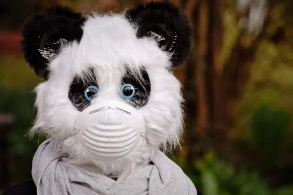 에스티에이와이 카지노 지원